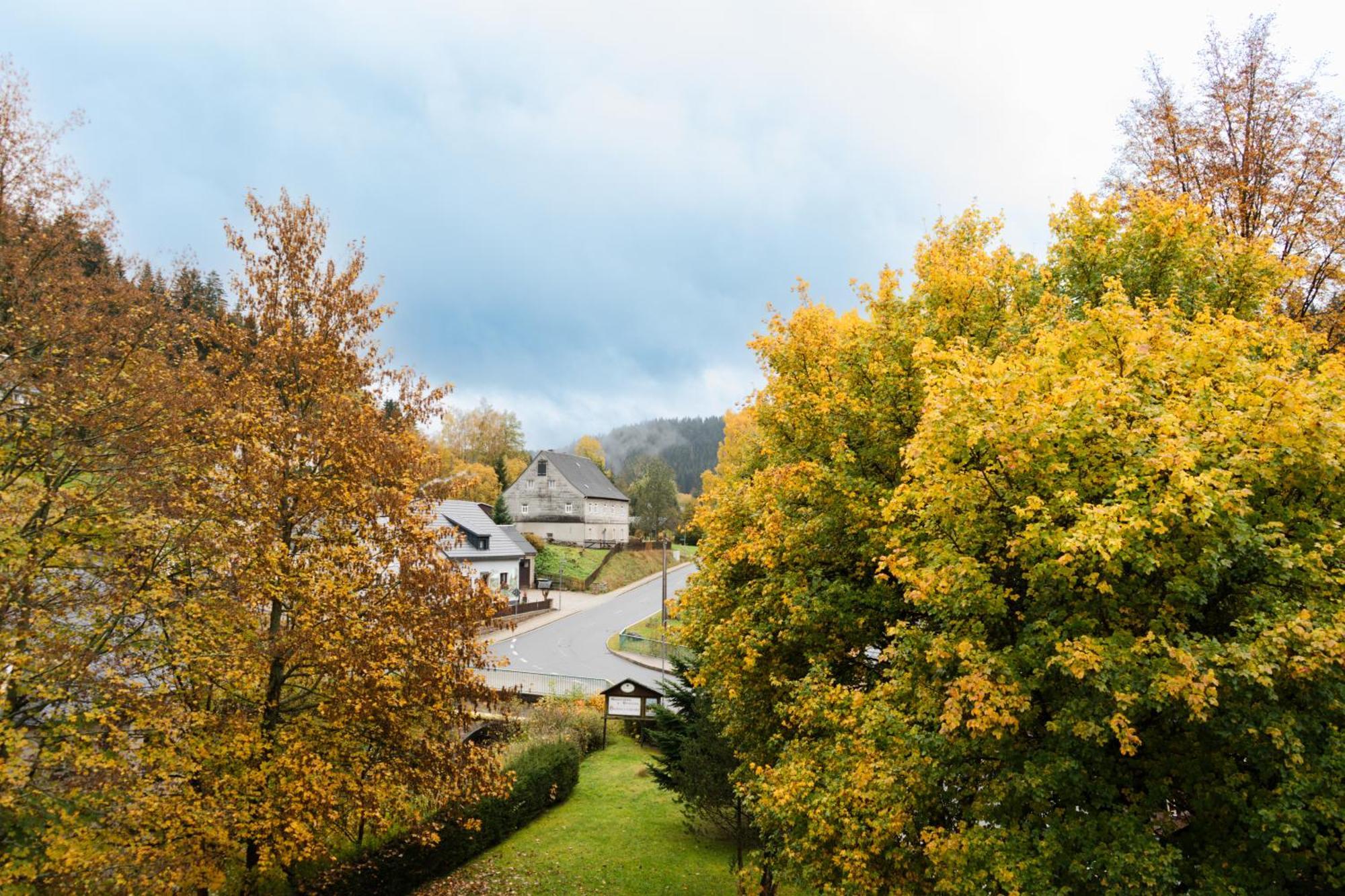 Gasthof Und Pension Hammerschaenke Wildenthal Exterior foto